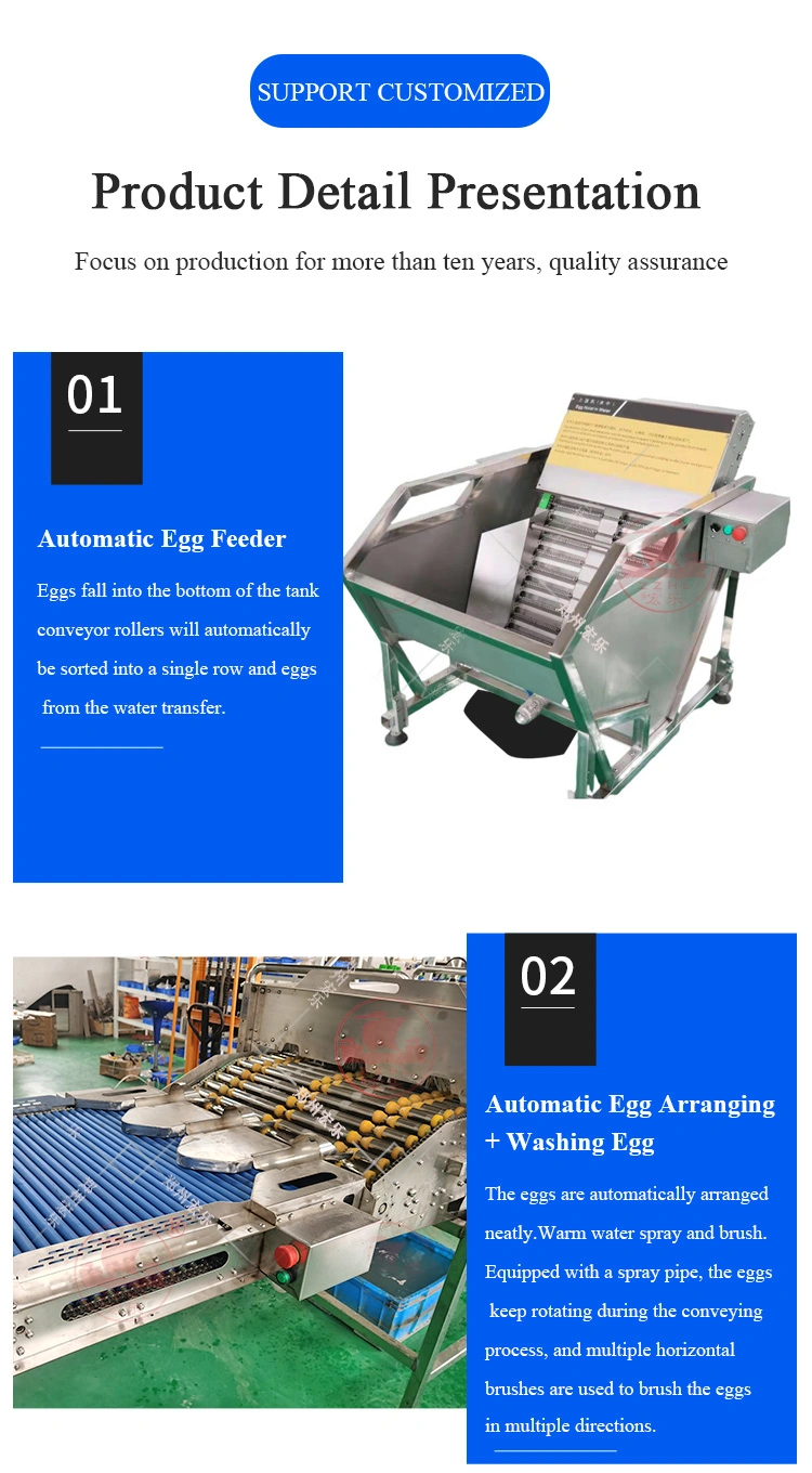 York separator Yolk Divider Drying Powder Automatic Liquid Processing Equipment Egg Breaking Machine Separator