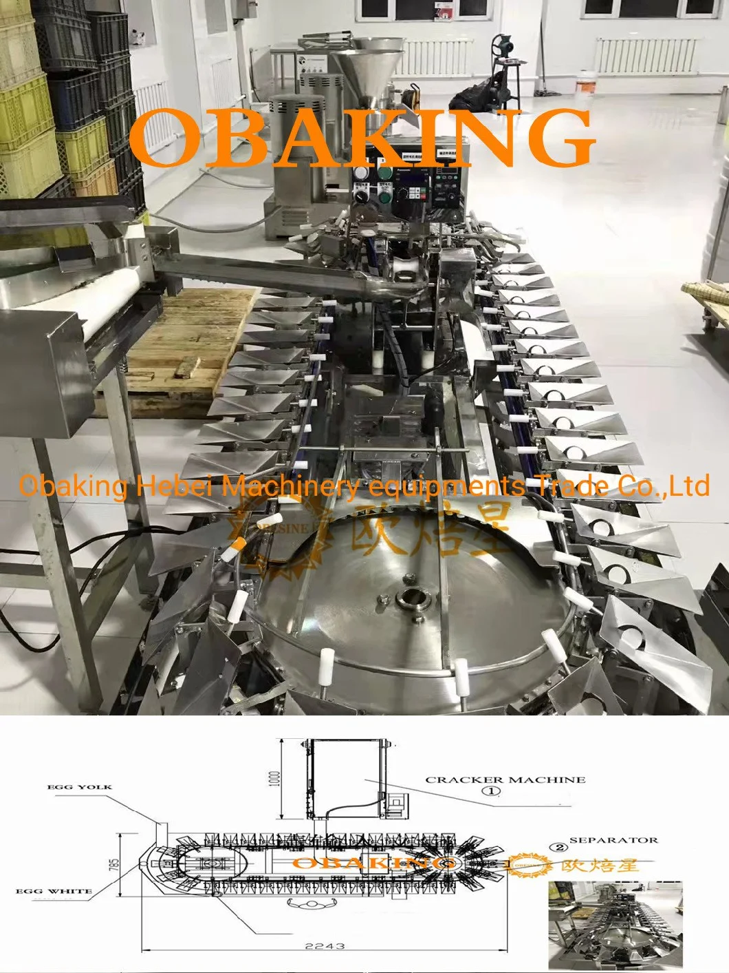 Large Capacity Egg Separator Machine/Egg Breaker/Egg Breaking Machine/Egg Shell Breaker