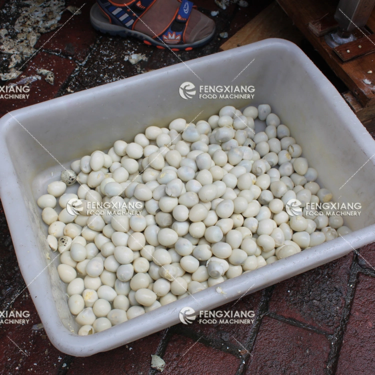 Boiled Quail Egg Peeling Shelling Machine for Sales