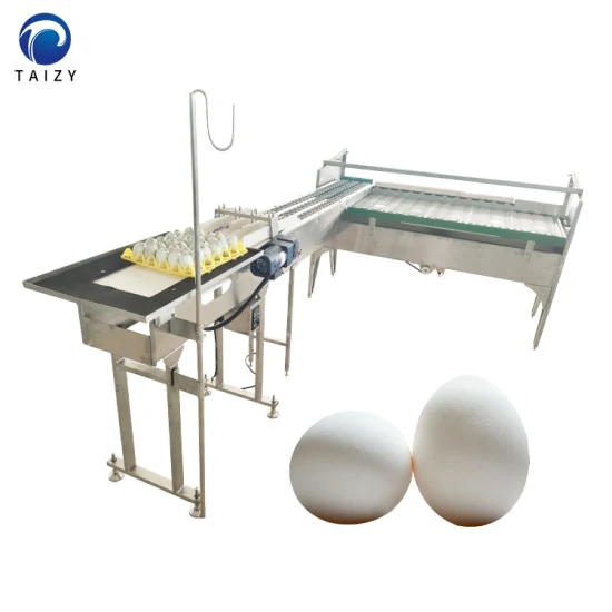 계란 분류 기계 계란 분류기 가금류 장비 계란 분류 기계