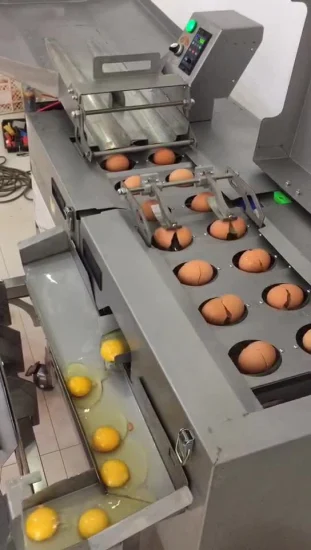 뜨거운 맞춤형 생산 라인 기계 계란 노른자 단백질 및 액체 분리기