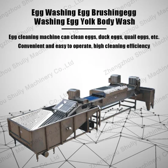 자동 라인 계란 공정 라인 세탁기 캔들러 분류기 라인 판매