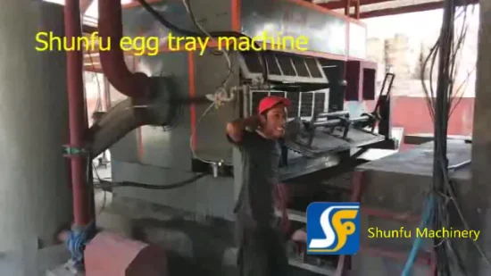 높은 출력을 가진 기계를 만드는 기계/펌프 달걀 껍질을 만드는 종이 과일 껍질