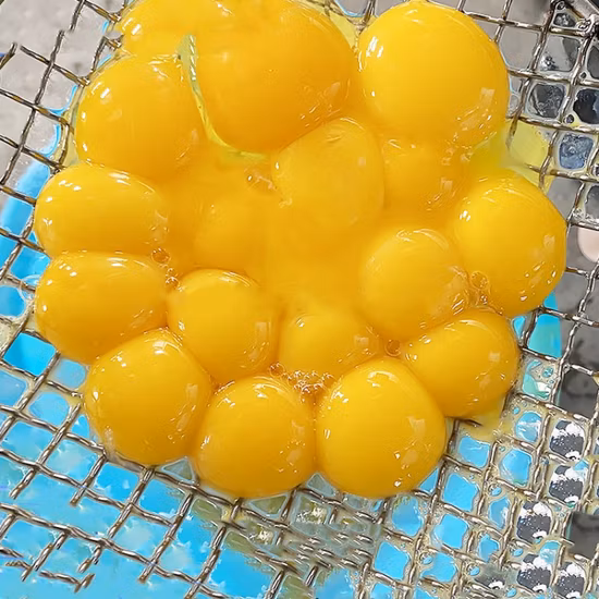 요크 분리기 계란 노른자 분배기 건조 분말 자동 액체 처리 장비 계란 깨는 기계 분리기