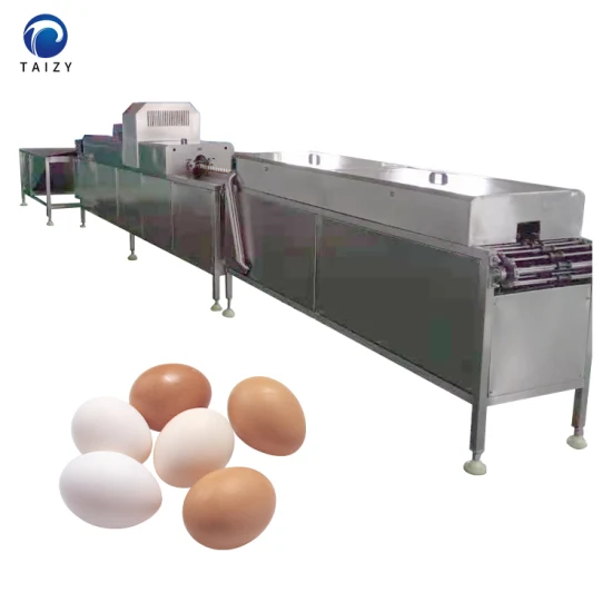 스테인레스 스틸 가금류 계란 세탁기, 청소기, 닭고기 계란 청소 기계, 닭고기 계란 세탁기
